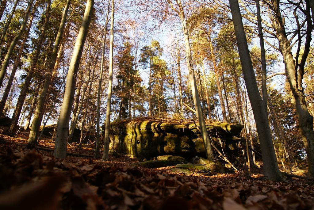 Landpension Bielatal - Raum Zewnętrze zdjęcie